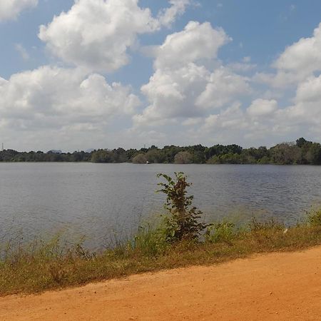 Wild View Stay Habarana Bagian luar foto