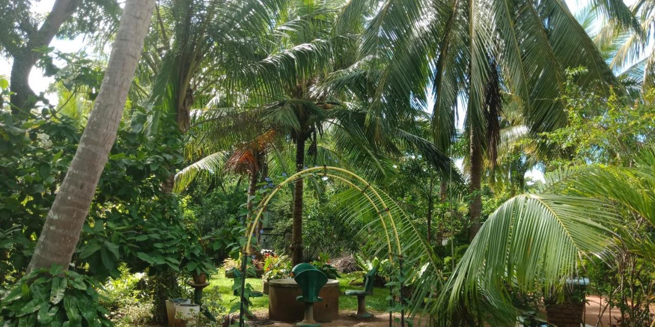 Wild View Stay Habarana Bagian luar foto
