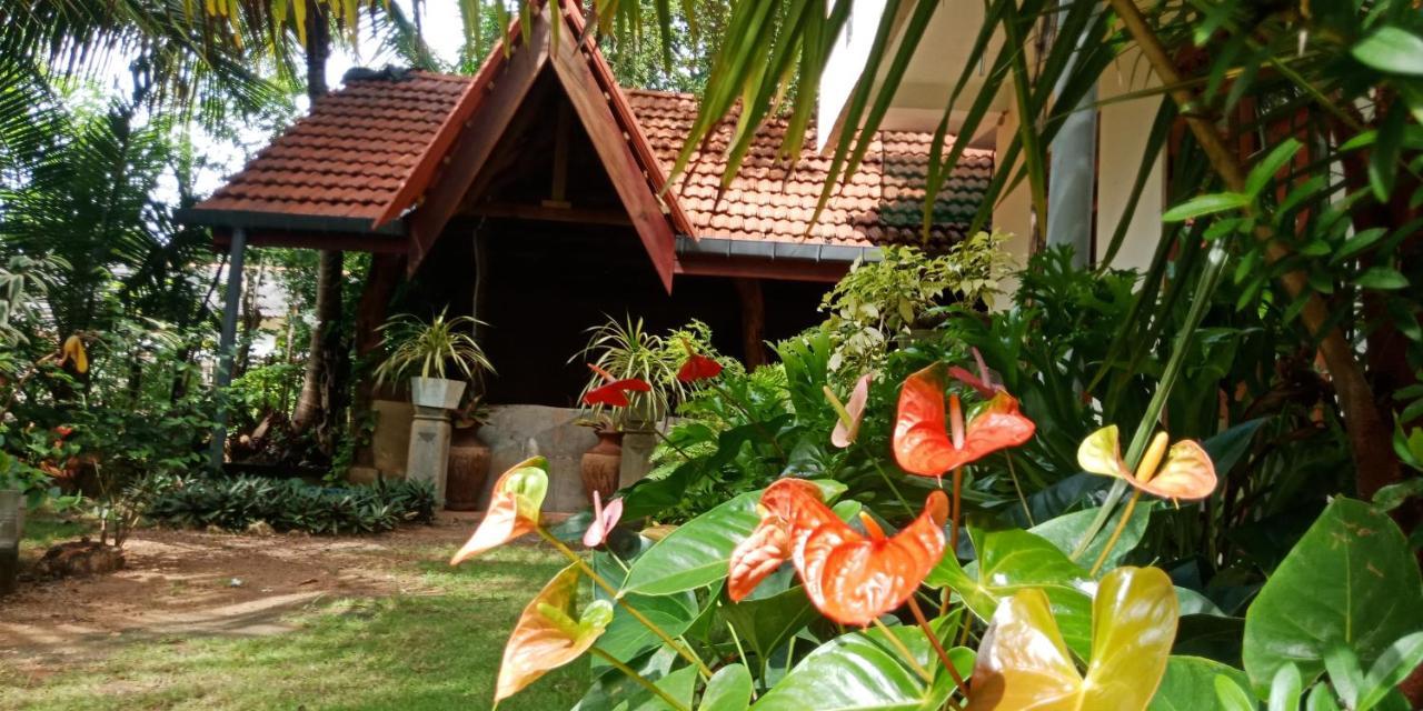 Wild View Stay Habarana Bagian luar foto