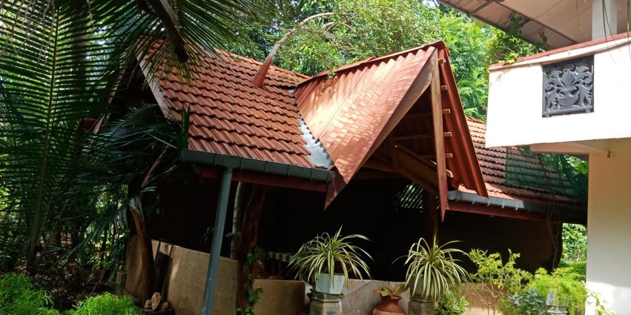 Wild View Stay Habarana Bagian luar foto