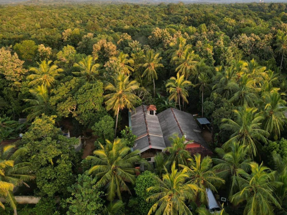 Wild View Stay Habarana Bagian luar foto