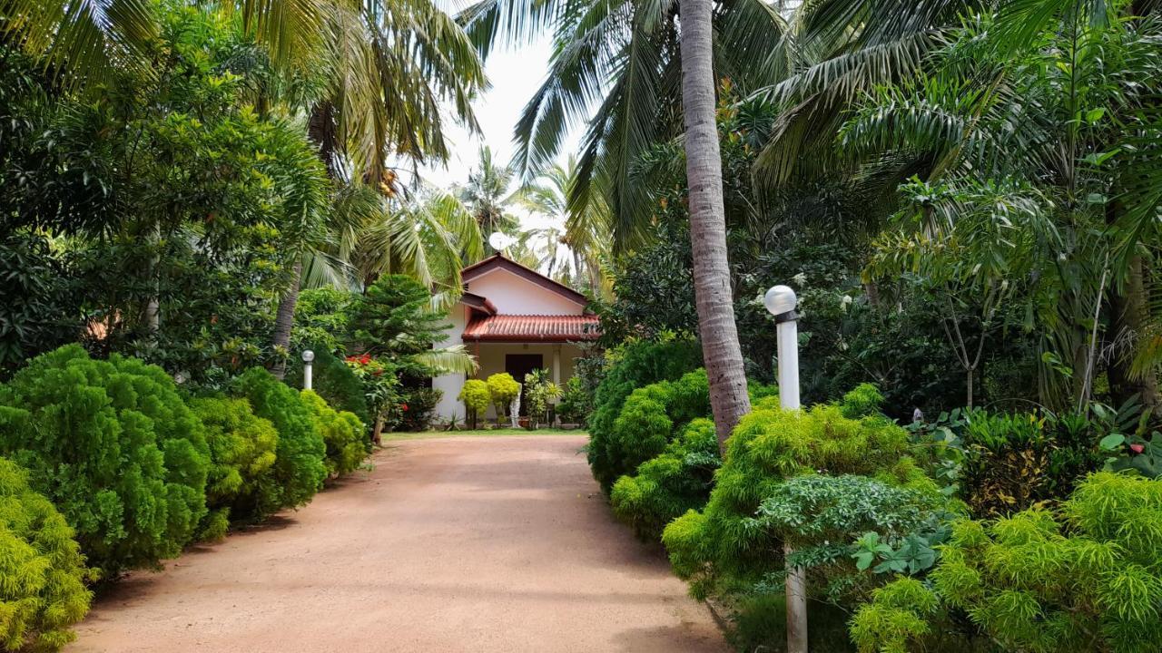 Wild View Stay Habarana Bagian luar foto