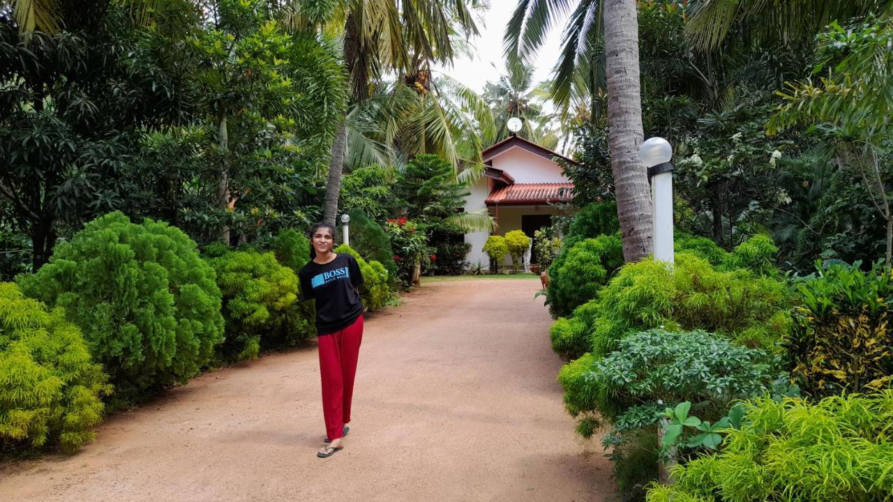 Wild View Stay Habarana Bagian luar foto