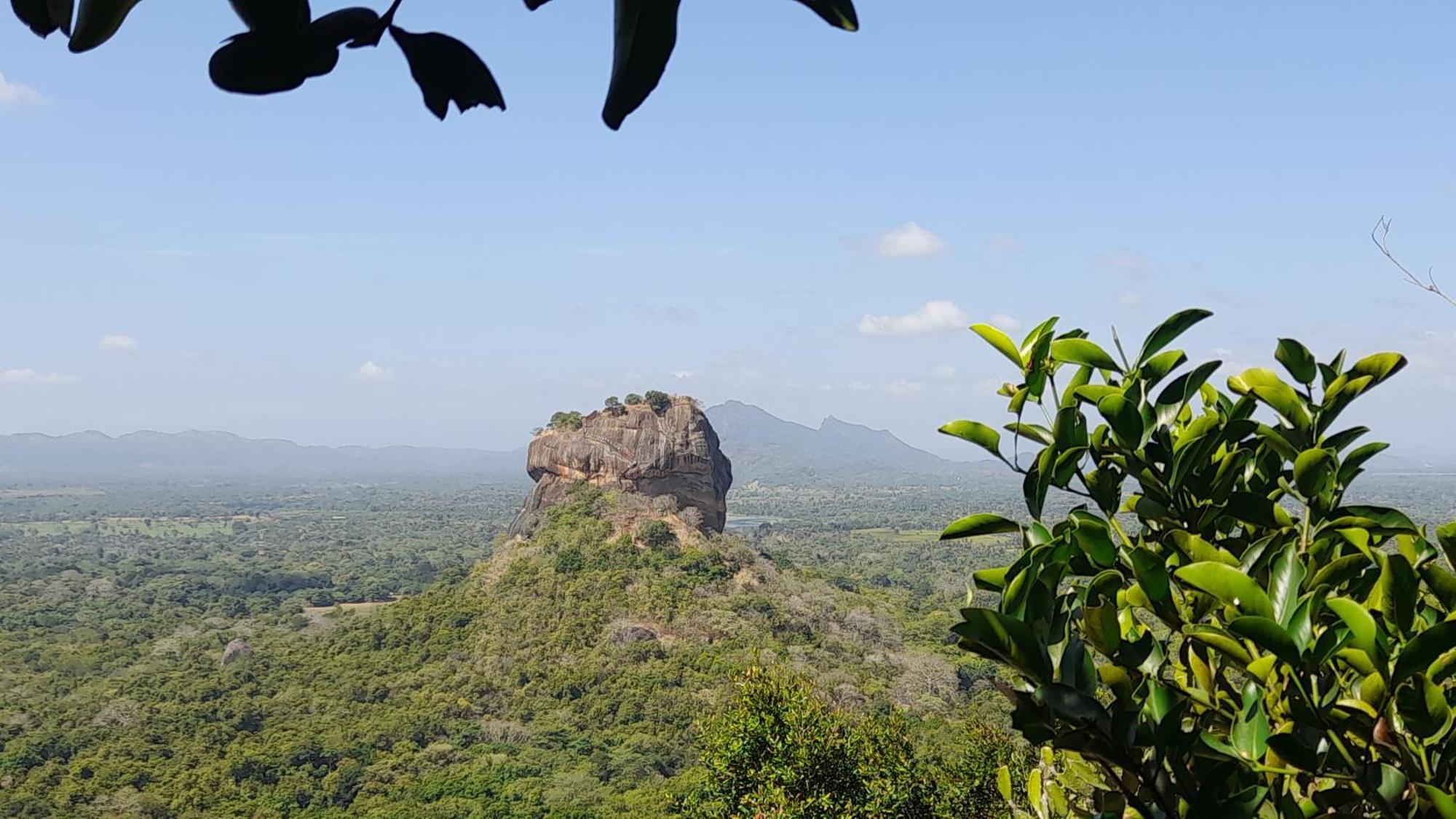 Wild View Stay Habarana Bagian luar foto