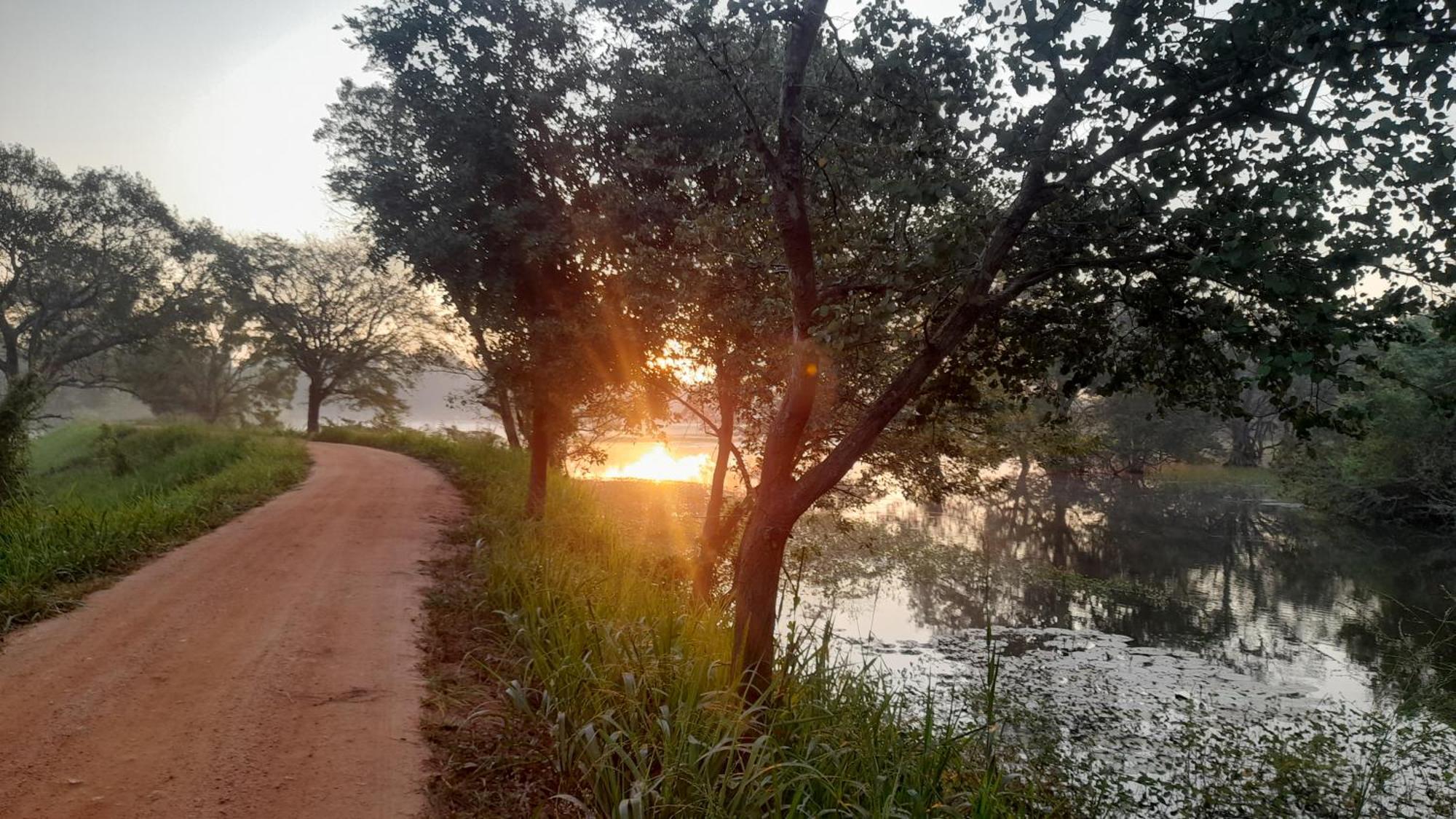 Wild View Stay Habarana Bagian luar foto